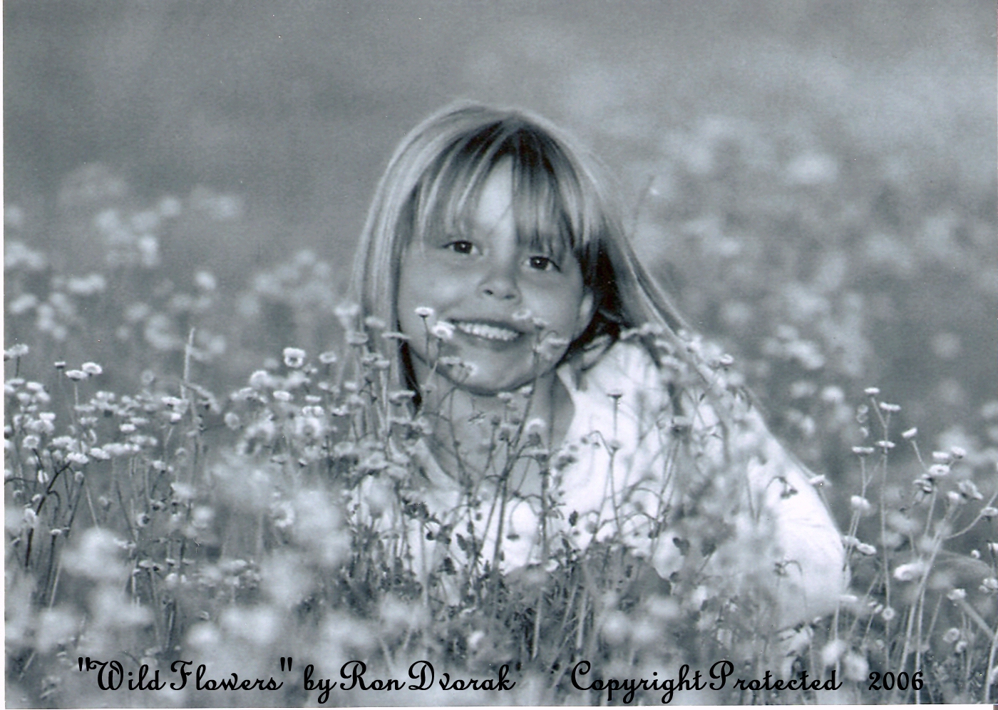 This Picture of my Daughter "Madison Rose" is Titled "Wild Flowers" and took Second Place in a Statewide Photo Contest.  I took the Picture, and had it Copywritten, in 2006.